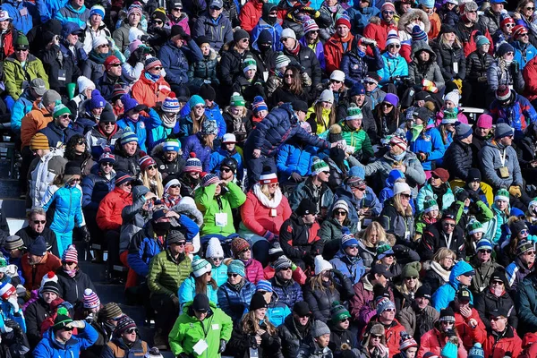 11月24日 2018年11月24日奥迪奥迪高山滑雪世界杯女子巨人斯拉洛姆在基灵顿乌萨的总体看法 — 图库照片