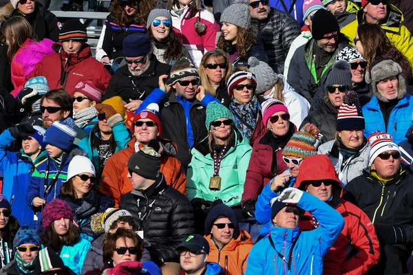 Killington Abd Kasım Audi Fis Alp Kayak Dünya Kupası Bayanlar — Stok fotoğraf