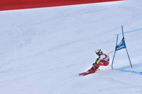 Killington November Maryna Gasienica Daniel Poland Finish Area Second Run — Stock Photo, Image