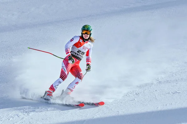 基林顿 11月24日 在2018年11月24日在佛蒙特州基林顿举行的奥迪Fis滑雪世界杯 基林顿杯上 奥地利的卡塔琳娜 连斯伯格在终点区进行了第二次大型滑雪赛 — 图库照片