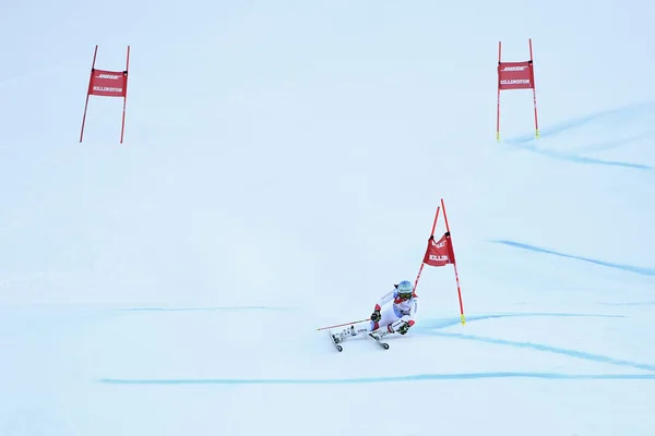 波士顿基灵顿 11月24日 苏一迪 霍登纳在佛蒙特州的奥迪菲斯滑雪世界杯上第二次跑完井区 基灵顿杯 — 图库照片