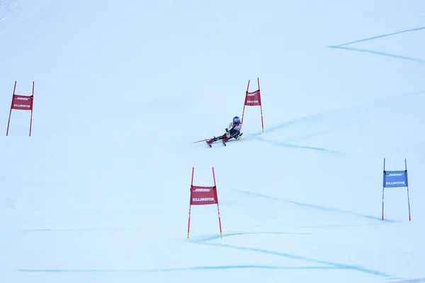 波士顿基灵顿 11月24日 乌萨的米卡埃拉 希夫林在奥菲斯滑雪世界杯上的巨型坡道第二次运行后完成了比赛 基灵顿杯 佛蒙特州基灵顿 — 图库照片