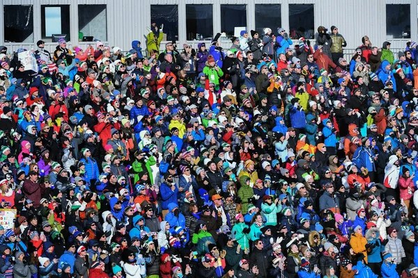 Killington Abd Kasım Audi Fis Alp Kayak Dünya Kupası Bayanlar — Stok fotoğraf