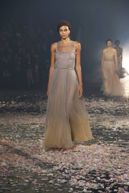 Paris, Fransa - 24 Eylül: Manken pist Christian Dior gösterisi sırasında Paris moda hafta kadın giyim ilkbahar/yaz 2019 kapsamında 24 Eylül 2018 Paris, Fransa'da yürür.