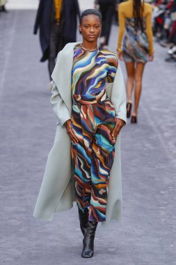 Milan, Italya-23 Şubat: bir model Milan Moda Haftası Sonbahar/Kış 2019/20 tarihinde Roberto Cavalli Show 'da pist yürüyor 23 Şubat, 2019 Milan, Italya.