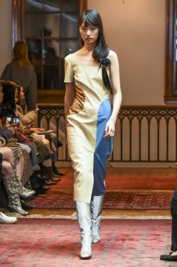 New York, Ny - 07 Şubat: Model Şubat'ta New York Moda Haftası sırasında Maryam Nassir Zadeh defile için pist yürüyor 07, 2019 Nyc.