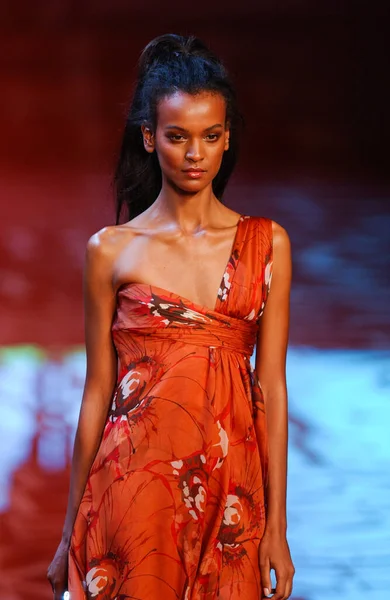 PARIS FRANCE - 12 Ekim 2003 Model Liya Kebede, 2004 Yaz ayı Paris moda haftası boyunca Valentino Giymeye Hazır Moda Koleksiyonu defilesinin defilesi. Paris,
