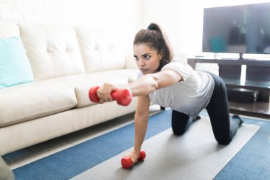 young hispanic woman training with dumbbells at home clipart