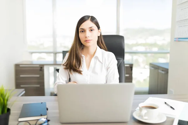 Confident Marketing Executive Laptop Sitting Desk Office — Stock Photo, Image