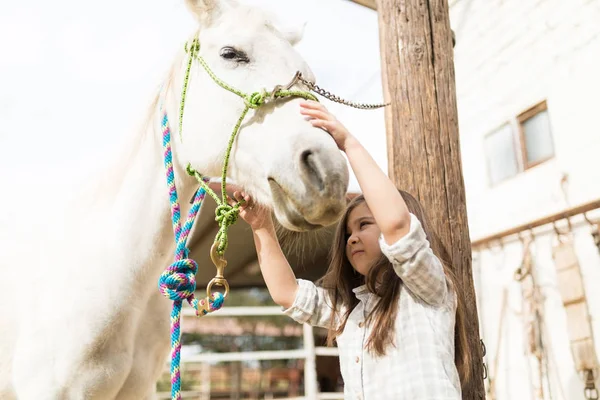 Bonito Menina Mimando Cavalo Branco Estábulo — Fotografia de Stock