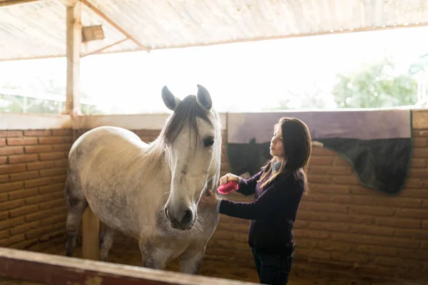 Mid Volwassen Vrouw Verzorgen Witte Paarden Met Een Borstel Ranch — Stockfoto