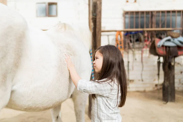 Kobiece Dziecko Pocieranie Ciała Konia Stojąc Stodole Wsi — Zdjęcie stockowe