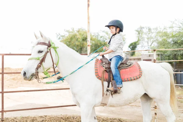 Bambino Innocente Carino Godendo Sua Vacanza Mentre Seduto Cavallo Bianco — Foto Stock
