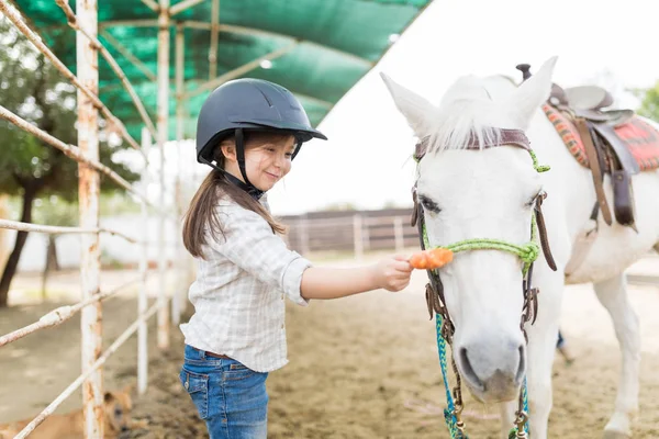 Pequena Proprietária Dando Cenoura Equinos Famintos Rancho — Fotografia de Stock