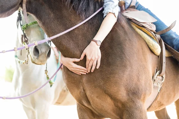 牧場で馬の体にハートの形を作る手のクローズ アップ — ストック写真