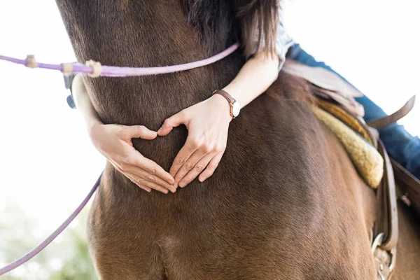 Mãos Cavaleiro Fêmea Formando Forma Coração Corpo Cavalo Fazenda — Fotografia de Stock