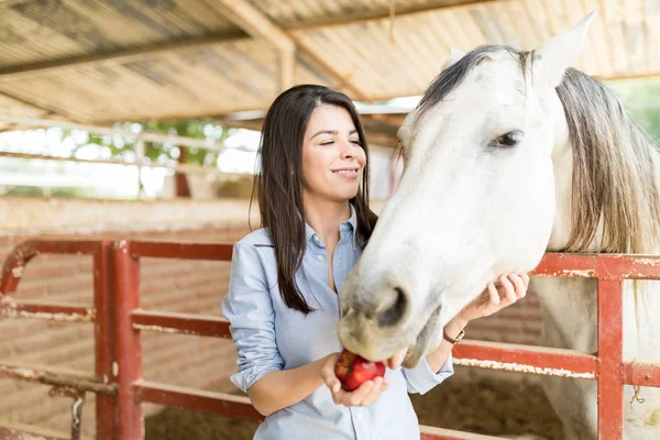 リンゴを安定で彼女の馬に供給しながら笑みを浮かべて美しい女性 — ストック写真