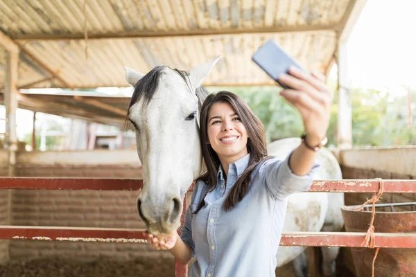 Szczęśliwy Dobra Kobieta Szuka Pomocą Smartfona Selfie Białego Konia Stajni — Zdjęcie stockowe