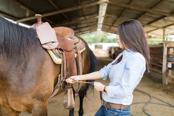 Cowgirl Sfastrygowanie Górze Koń Przez Pociągnięcie Zacisnąć Pasa Zacisnąć Siodło — Zdjęcie stockowe