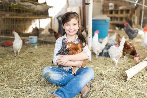全长微笑的小女孩抱着鸡 而坐在家禽农场的干草 — 图库照片