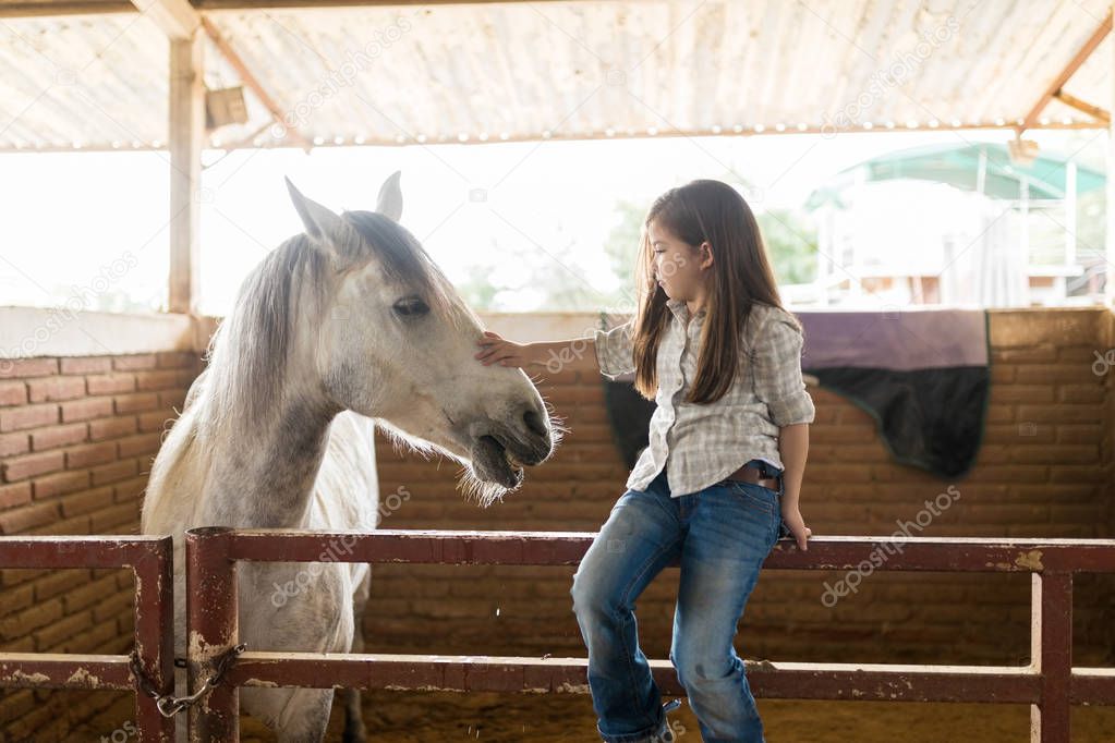 Cute girl in casuals petting white equine while sitting on fence at ranch