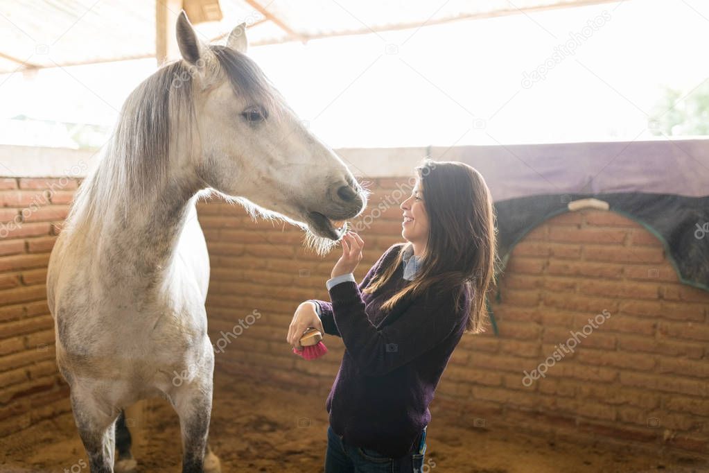Horse enjoying daily routine of hygiene while woman standing in stable