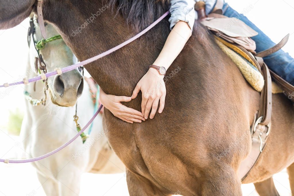Closeup of hands making heart shape on horse's body at ranch
