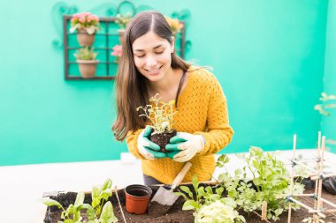 Arka bahçede dikim sırasında kazak giyen genç esmer