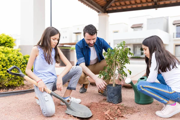 Ispanico Metà Adulto Padre Figlie Giardinaggio Insieme Nel Parco — Foto Stock