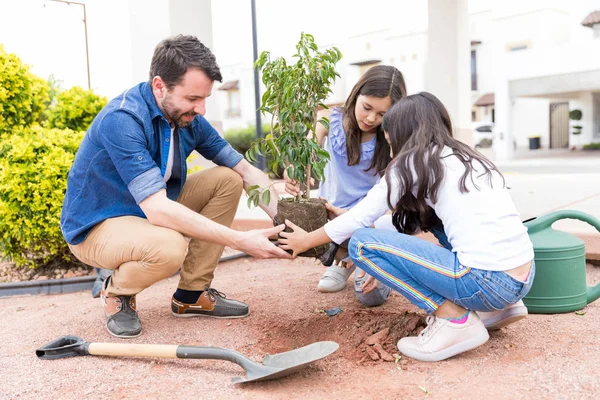 Hombre Adulto Medio Niñas Jardinería Casuales Juntos Patio Trasero —  Fotos de Stock