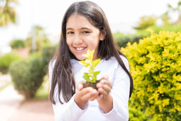 Retrato Menina Bonito Segurando Pequena Planta Parque — Fotografia de Stock