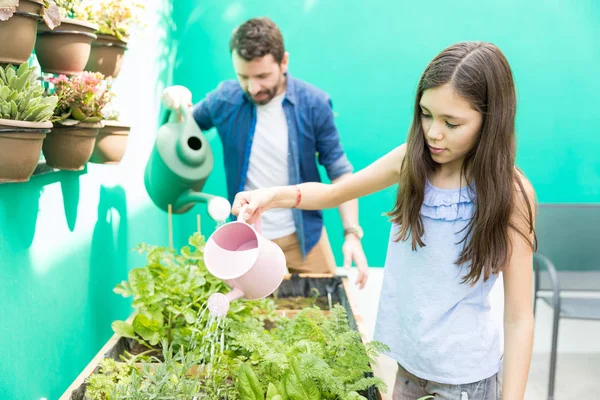 Preteen Girl Watering Homegrown Plants Father Backyard — Stock Photo, Image