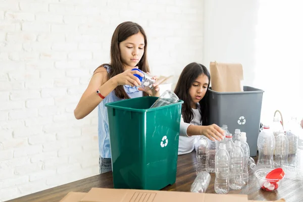 Hispanic Sisters Various Bottles Recycling Bins Saving Earth — Stock Photo, Image