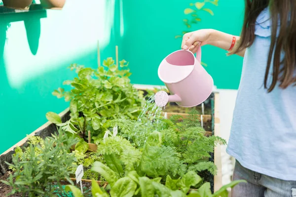 Midsection Preteen Barn Ger Färskt Vatten Till Växterna Gården — Stockfoto