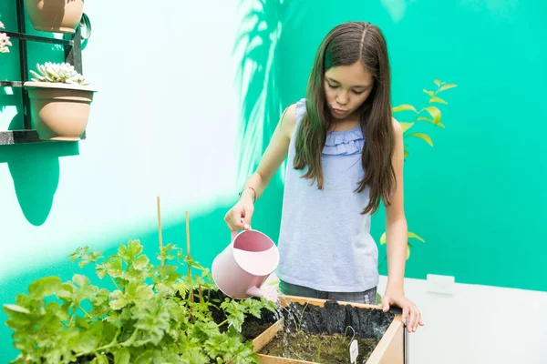 Gondozása Kertben Egyre Növények Kislány — Stock Fotó