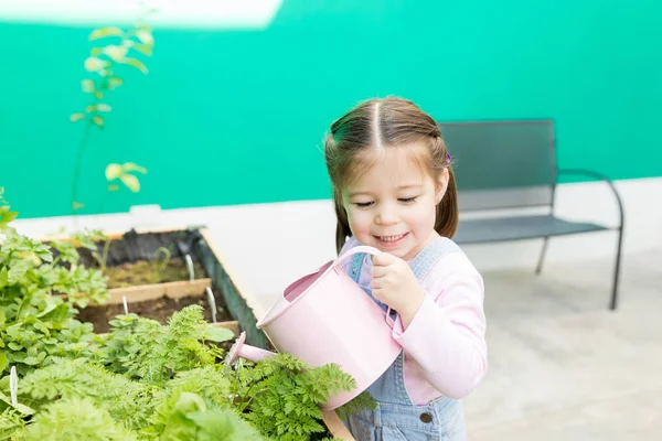 裏庭に立っている間植物を水に学ぶ幼児の女の子 — ストック写真