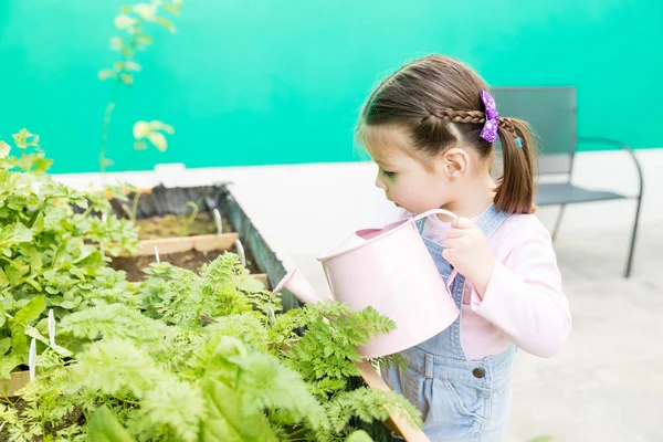 Bedårande Barn Håller Rosa Vattenkanna Medan Trädgårdsarbete Gräsmatta — Stockfoto