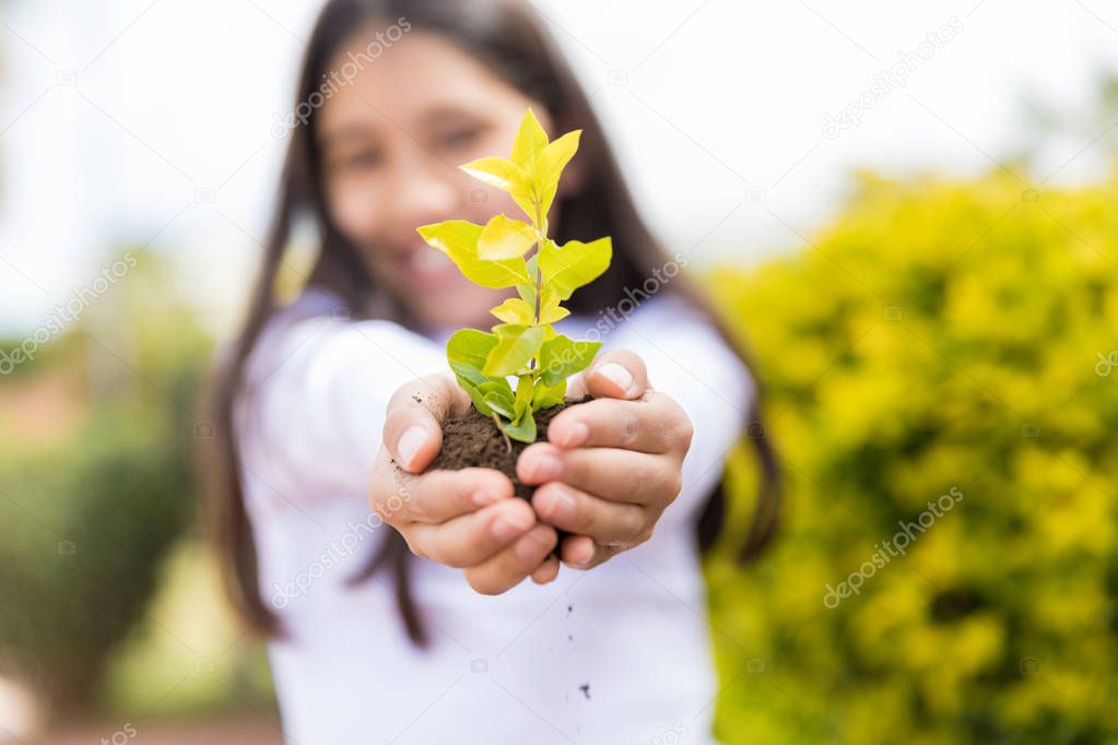 Hands of elementary girl holding small tree with soil in garden