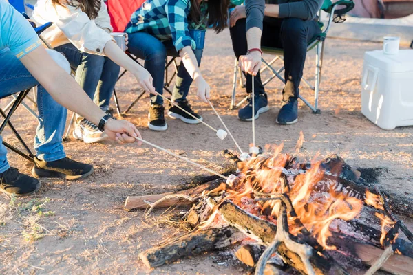 Frauen Und Männer Grillen Marshmallows Auf Brennendem Brennholz — Stockfoto