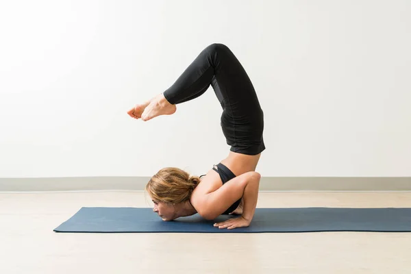 Longitud Completa Morena Caucásica Flexible Practicando Vrischikasana Durante Entrenamiento Fitness —  Fotos de Stock