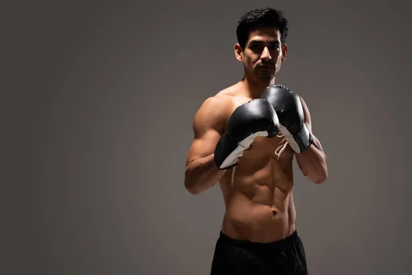 Portrait Confident Latin Male Boxer Standing Gray Background — Stock Photo, Image