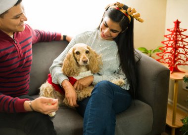 İspanyol çift Noel gününü köpekleriyle geçiriyorlar. Evde gri bir kanepede dinlenirken şen şakrak kıyafetler giyiyorlar.