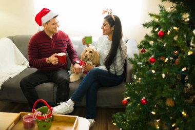 Noel Baba şapkası takan ve geyik boynuzu takan Latin çift Noel ağacının yanındaki kanepede otururken köpekleriyle sıcak bir şeyler içiyorlar.