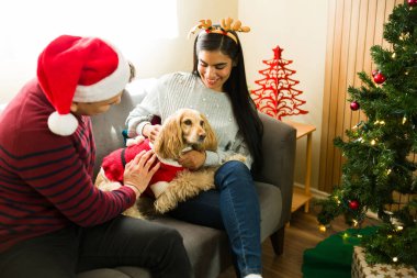 Gülümseyen çift Noel kostümü giyip köpeklerini okşuyor. Oturma odasındaki kanepede otururken yılbaşı süveteri giyiyorlar.