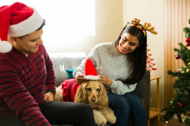 Sıcak bir çift Noel 'de evcil köpeklerini Noel Baba şapkası ve Noel kostümü ile giydirip koltukta oturarak eğleniyor.