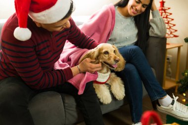 Noel Baba şapkası takan İspanyol çift Noel 'de koltukta köpeklerine sarılıyorlar.
