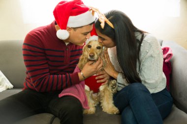 Latin çift Noel kostümü giyip köpeklerini öpüyor. Noel kıyafeti giyip koltukta oturuyorlar.