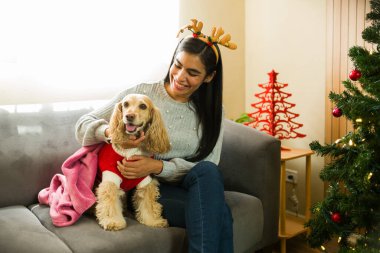 Ren geyiği boynuzu takan mutlu Latin bir kadın, köpeğini elinde tutuyor, Noel süveteri giyiyor ve Noel ağacının yanındaki koltukta oturuyor.