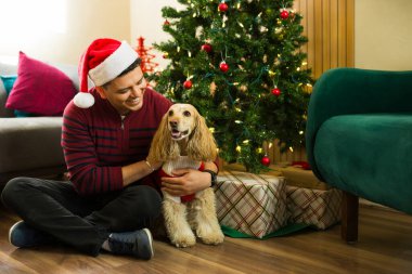 Gülümseyen latin köpek babası cocker spaniel köpeğine sarılıyor. Evde Noel ağacının yanında Noel kıyafeti giyiyor.