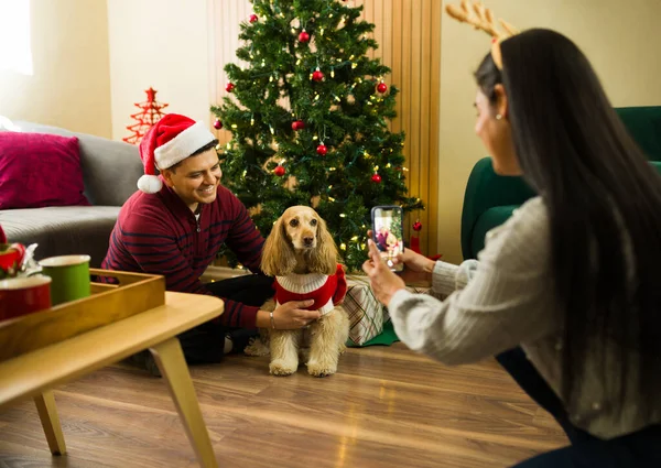 Latin bir kadın, eşiyle köpeklerinin yılbaşı süveteri giyerken fotoğrafını çekiyor. Evdeki Noel ağacının yanında.